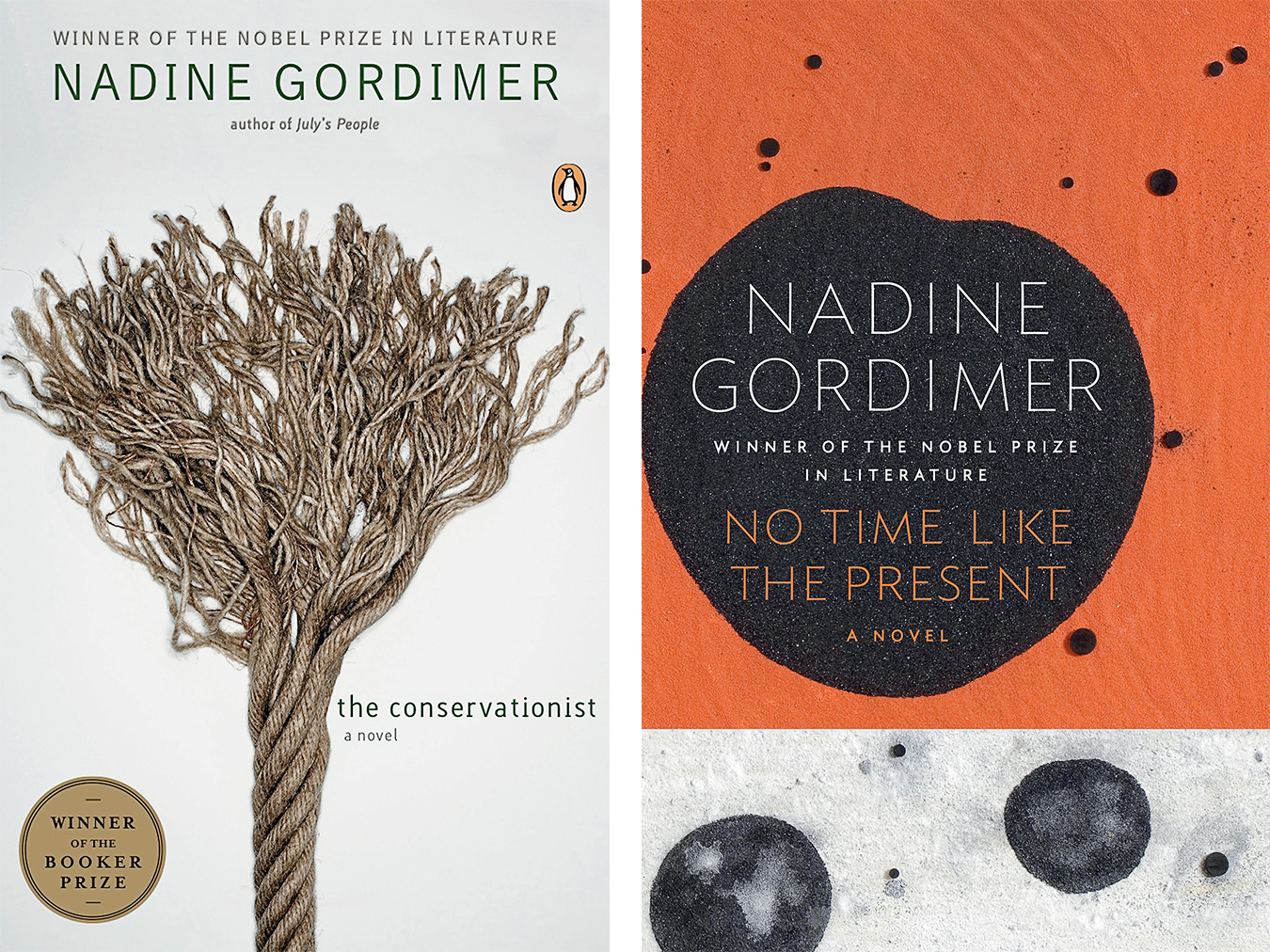 Nadine Gordimer on South Africa Essay