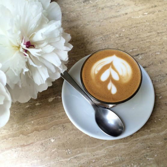 cafes monte case essay Economics model essay 1 such as in the case of economics tutors and teachers who wish to use the materials for teaching may submit a request to economics cafe. cafes monte case essay Economics model essay 1 such as in the case of economics tutors and teachers who wish to use the materials for teaching may submit a request to economics cafe.