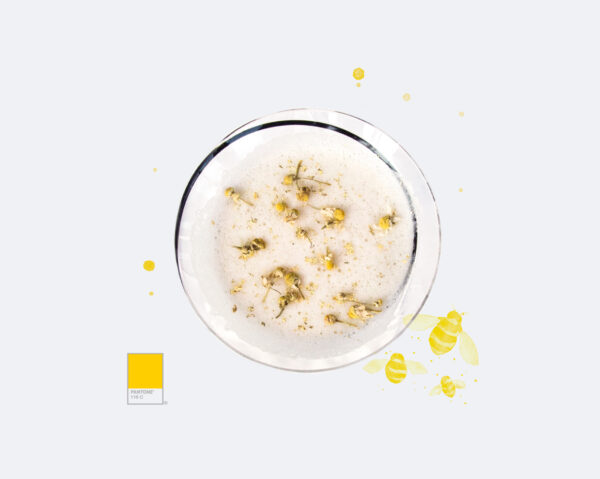chamomile tea essay chamomile tea essay