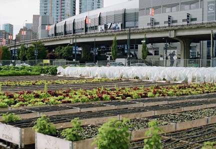 MONTECRISTO: Vancouver's Urban Farms