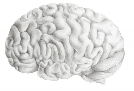 MONTECRISTO Magazine: Discoveries in Female Sexual Health