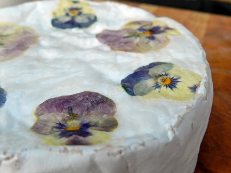 MONTECRISTO Blog: Cheese with Blossoms Recipe