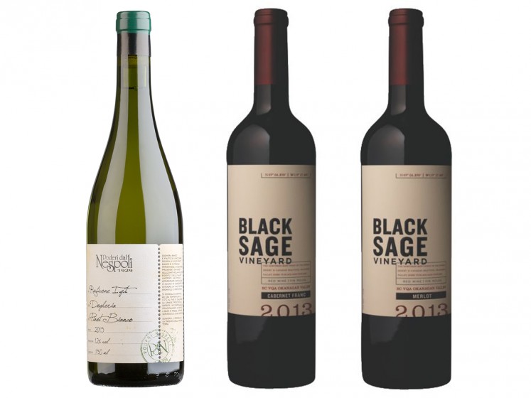 MONTE Blog: Wine Wednesday Poderi dal Nespoli Dogheria, Black Sage Vineyard Merlot, and Cabernet Franc