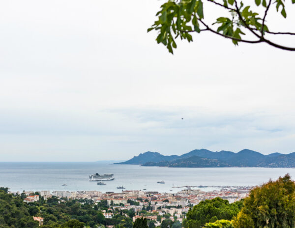 MONTE Blog: Cannes