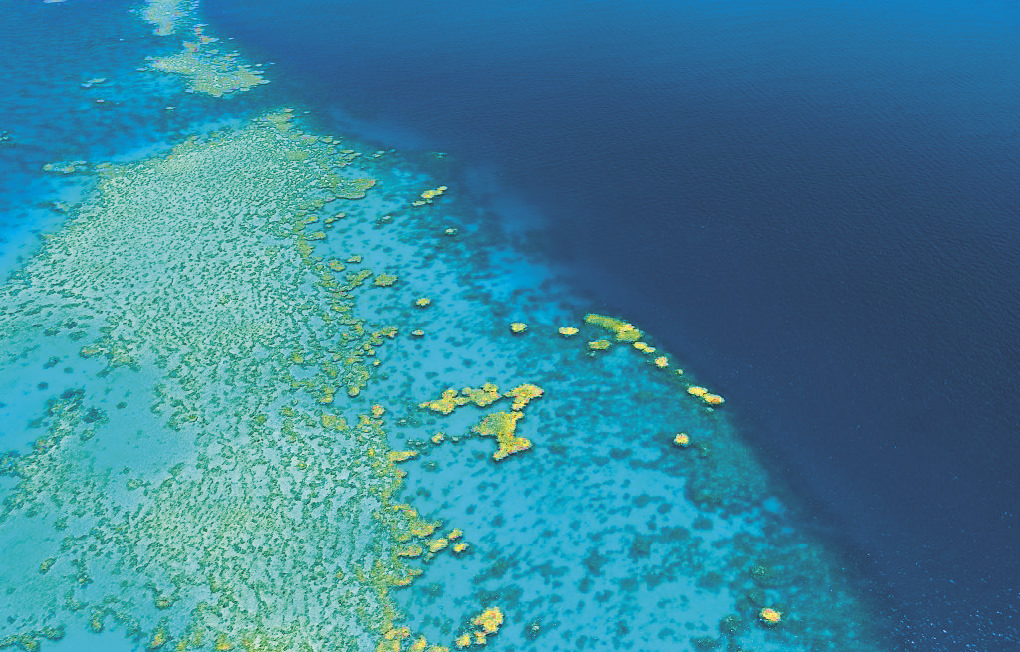 Great Barrier Reef Australia