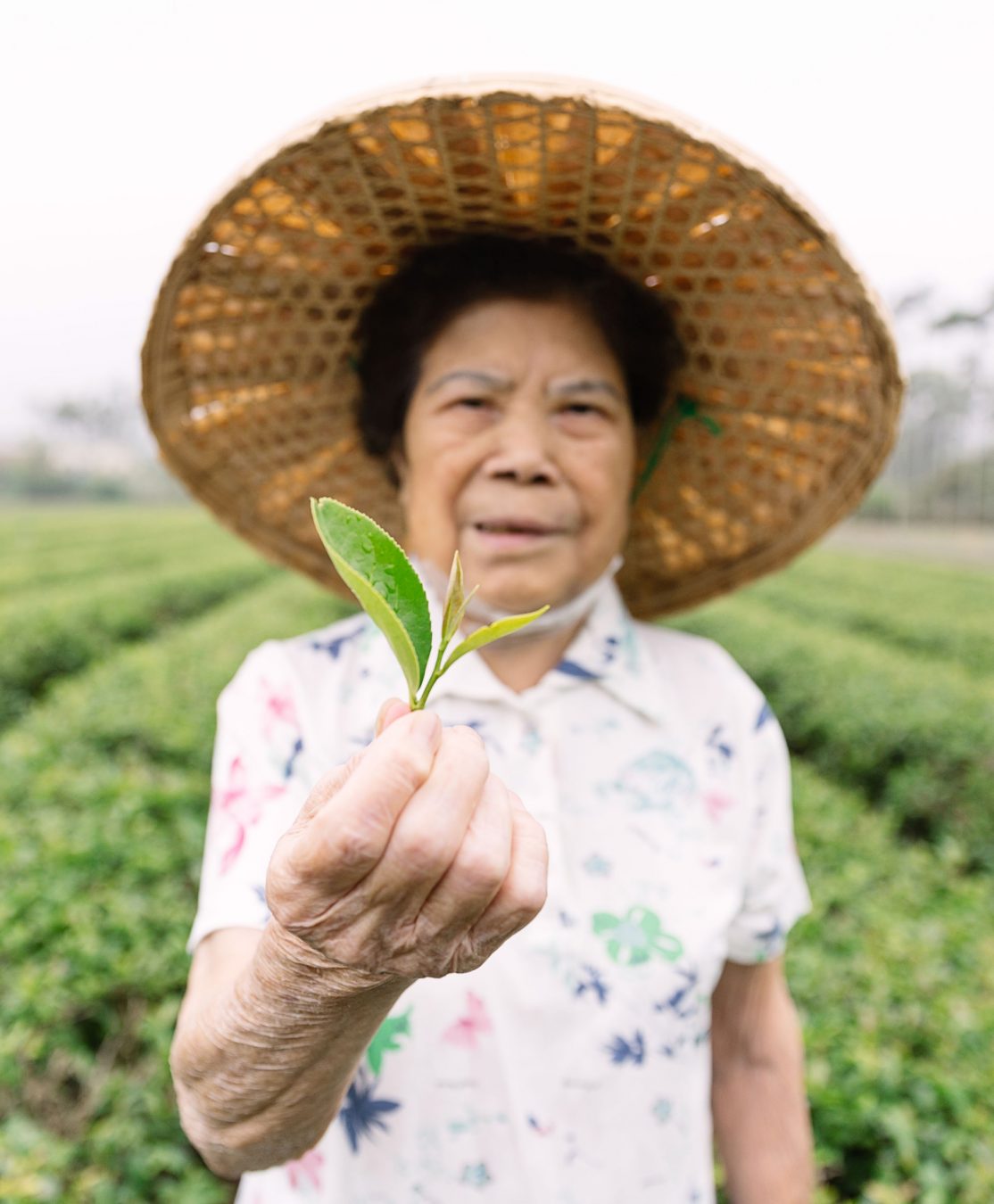 Taiwanese tea and Grandma