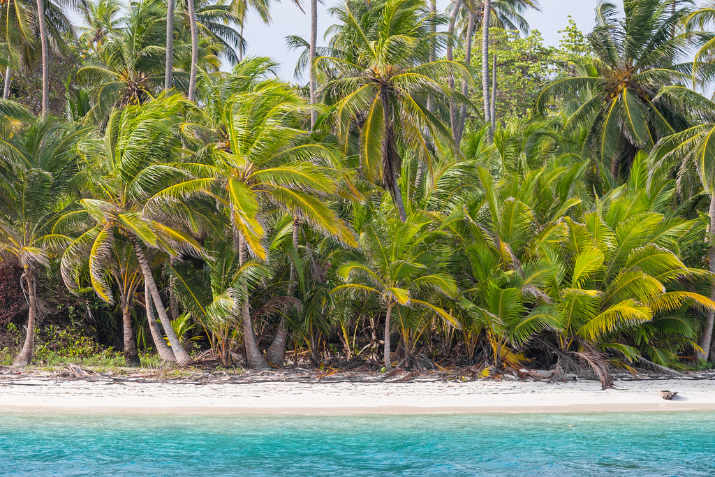 Panama river