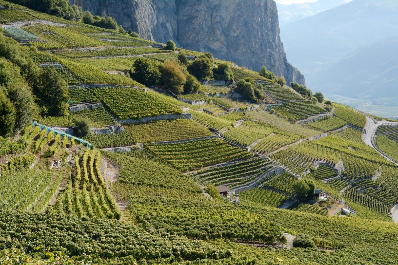 Switzerland wine trail