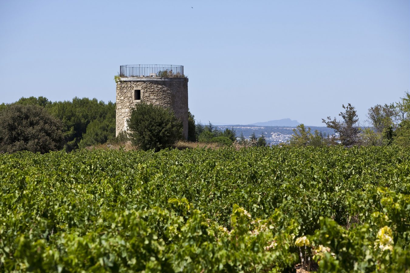 Rhone Valley rosé