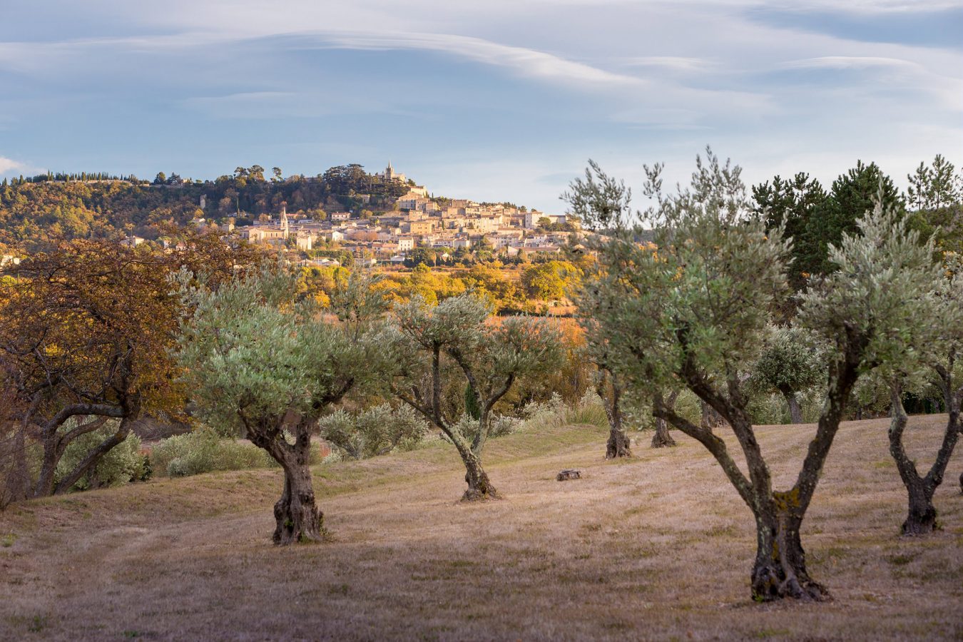 Rhone Valley rosé