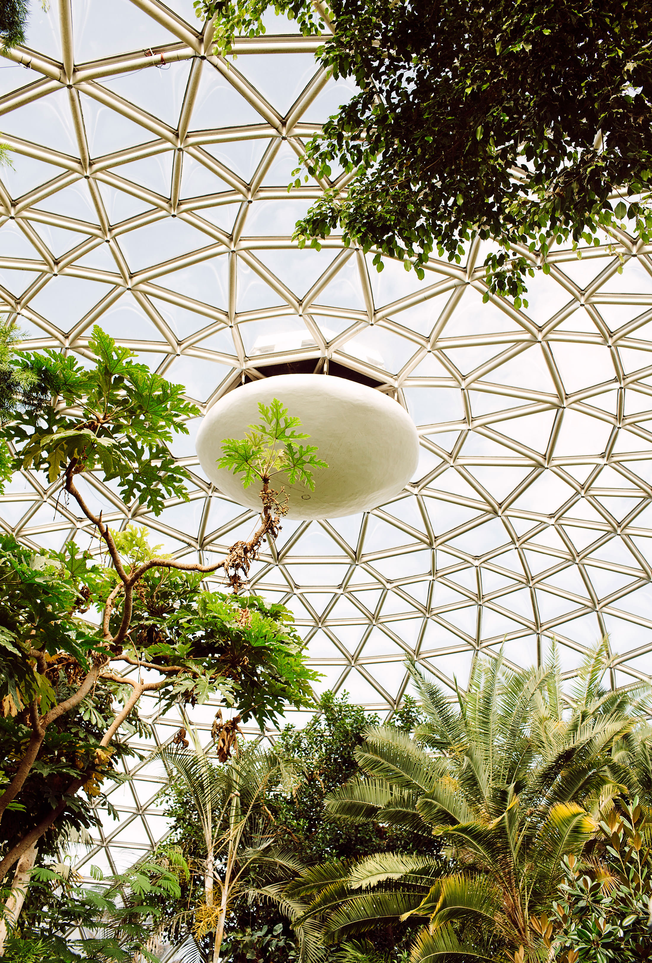 Bloedel Conservatory