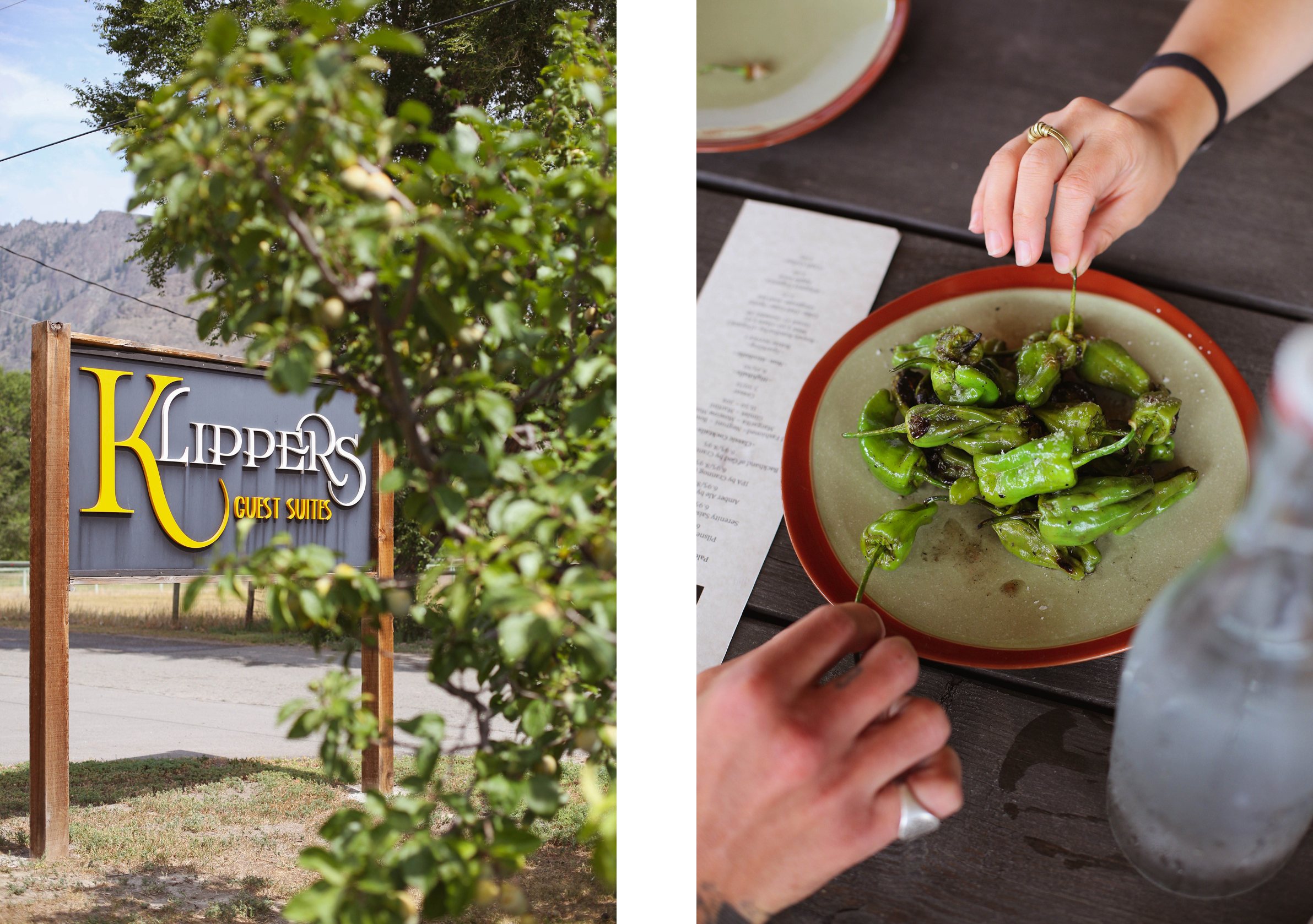 Padron peppers at Row Fourteen and Klippers Guest Suites