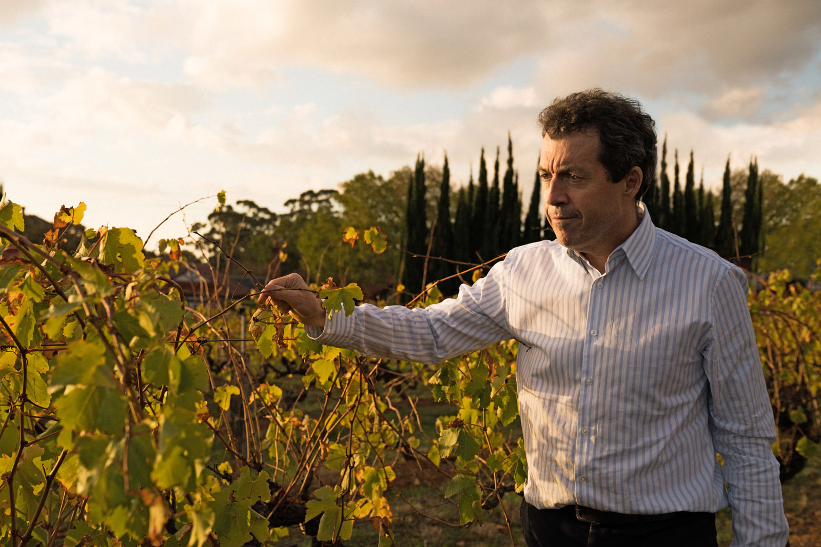 Meet the Chief Winemaker Behind Australia’s Iconic Penfolds and Its ...