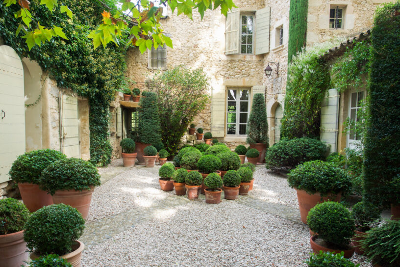 Gardening Lessons from the Quietly Stunning Landscapes of Provence