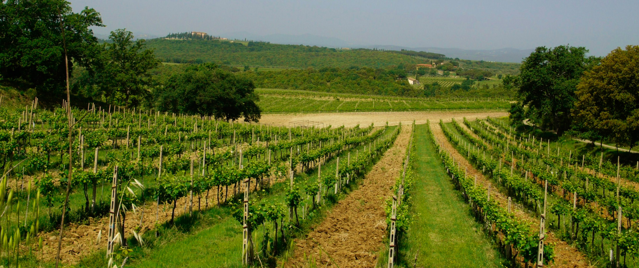 Col d'Orcia in Montalcino, Italy