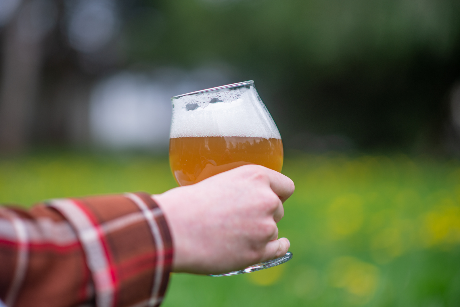 Drinking in parks in Vancouver