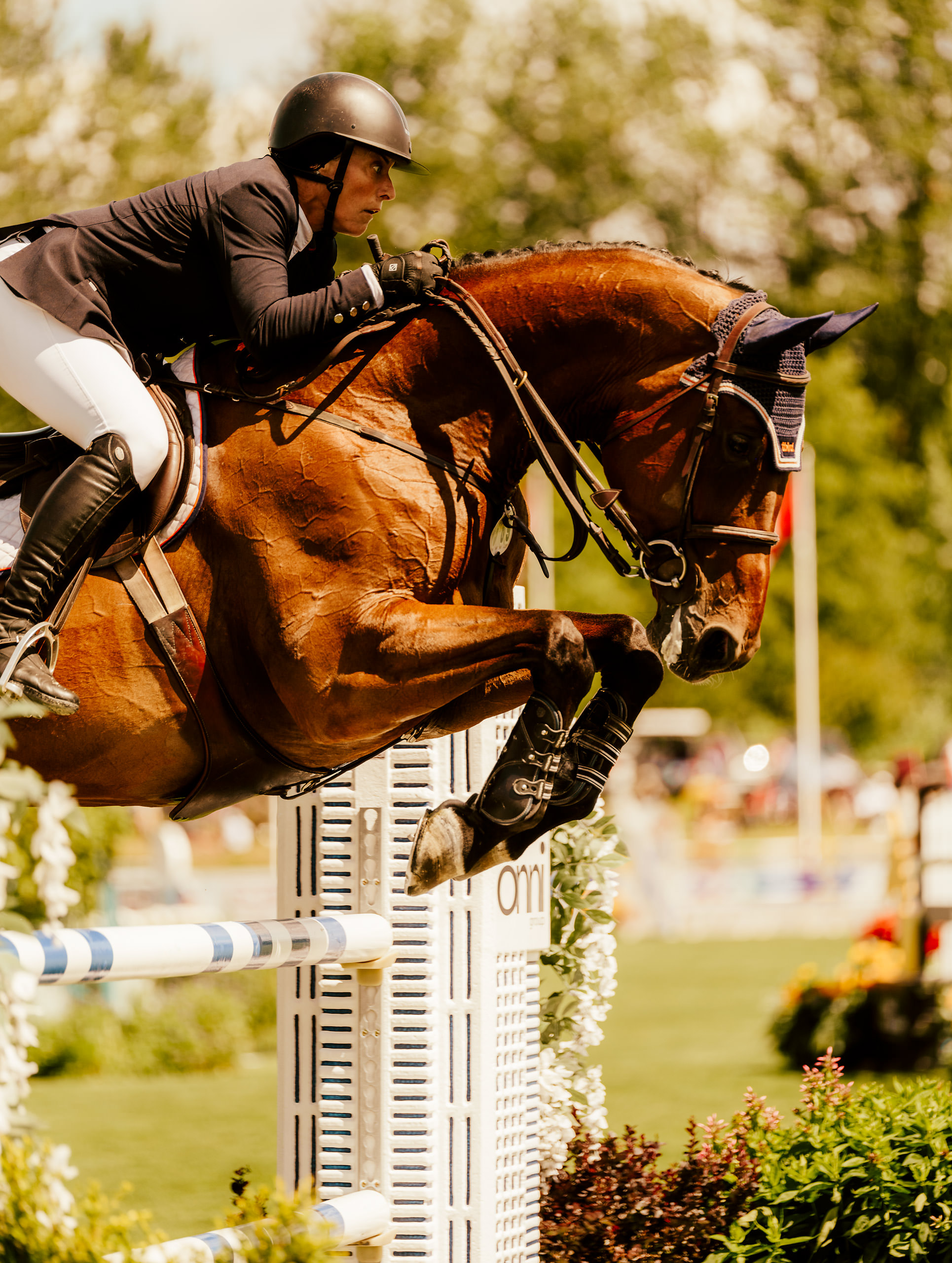 The Empathic Art of the Show Jumping Course MONTECRISTO