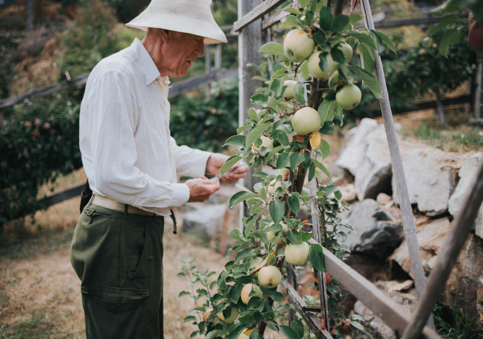 John Riley in his orchard. 