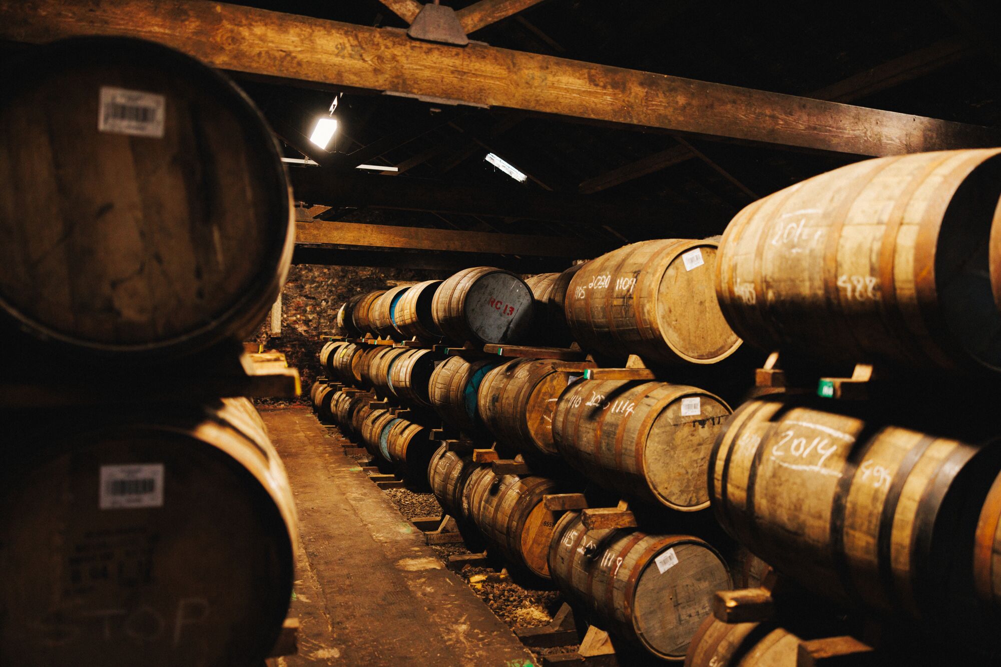 Rows of whisky casks in a dark room.