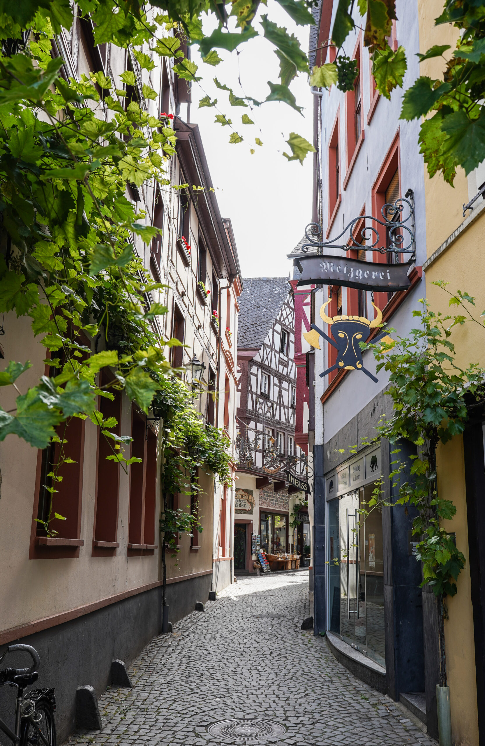 A narrow, cobblestone walkway in Moselle, Germany.