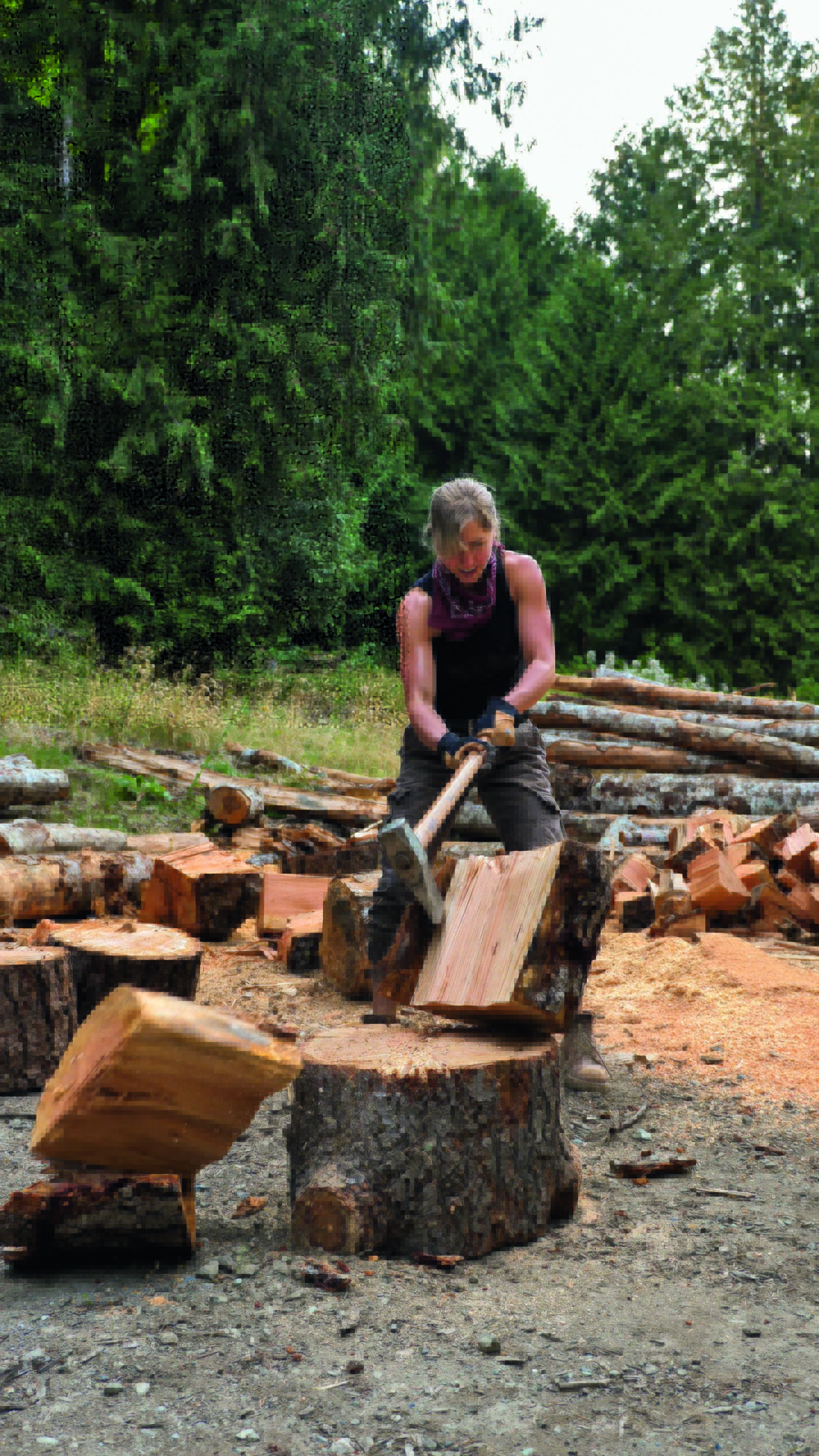 A woman chops wood, from the book Axe in Hand.