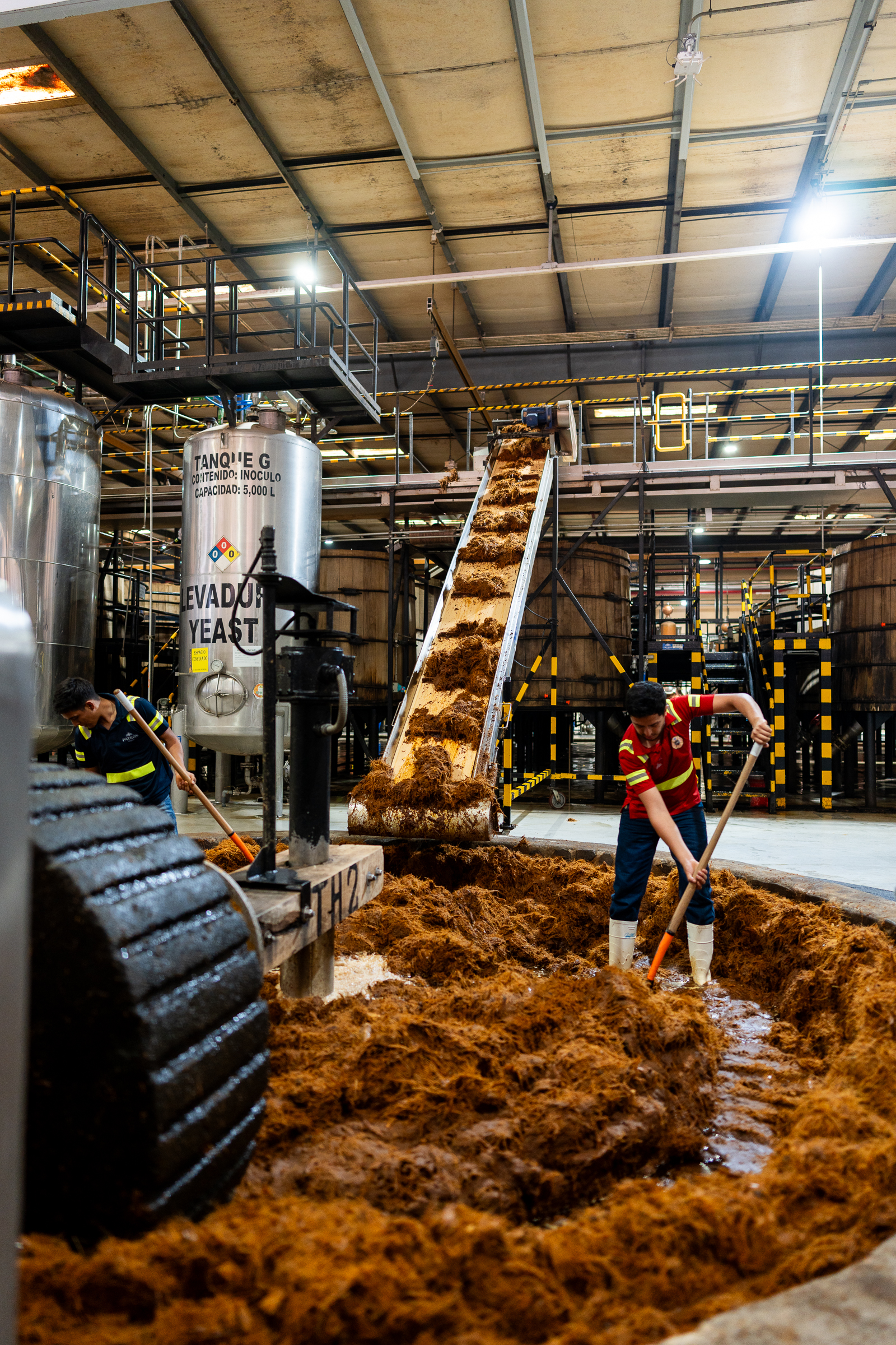 Men in rubber boots and protective gear stand in a basin stirring agave pulp with shovels at the Patrón distillery.