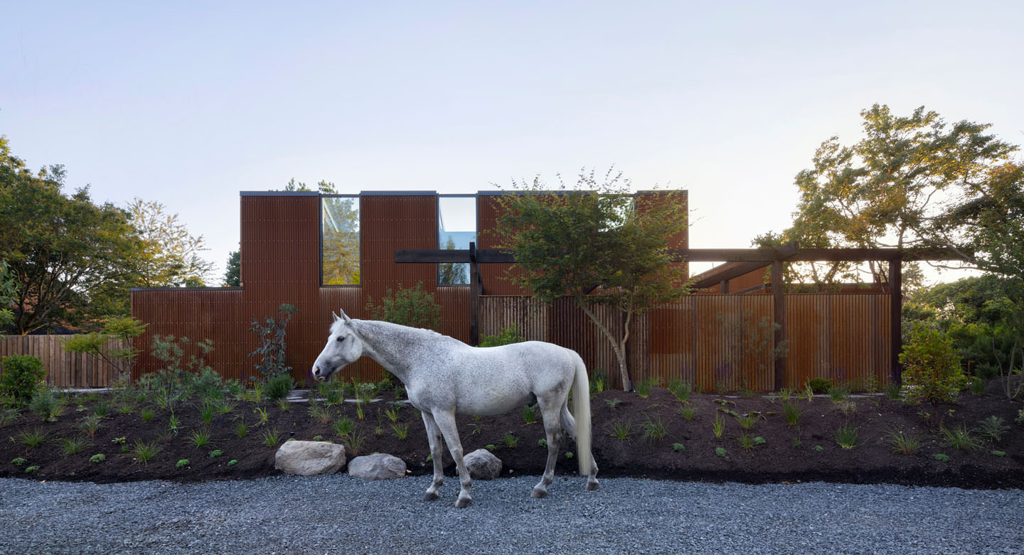 A white horse stands in front of Paddock House, restored by Measured Architecture.
