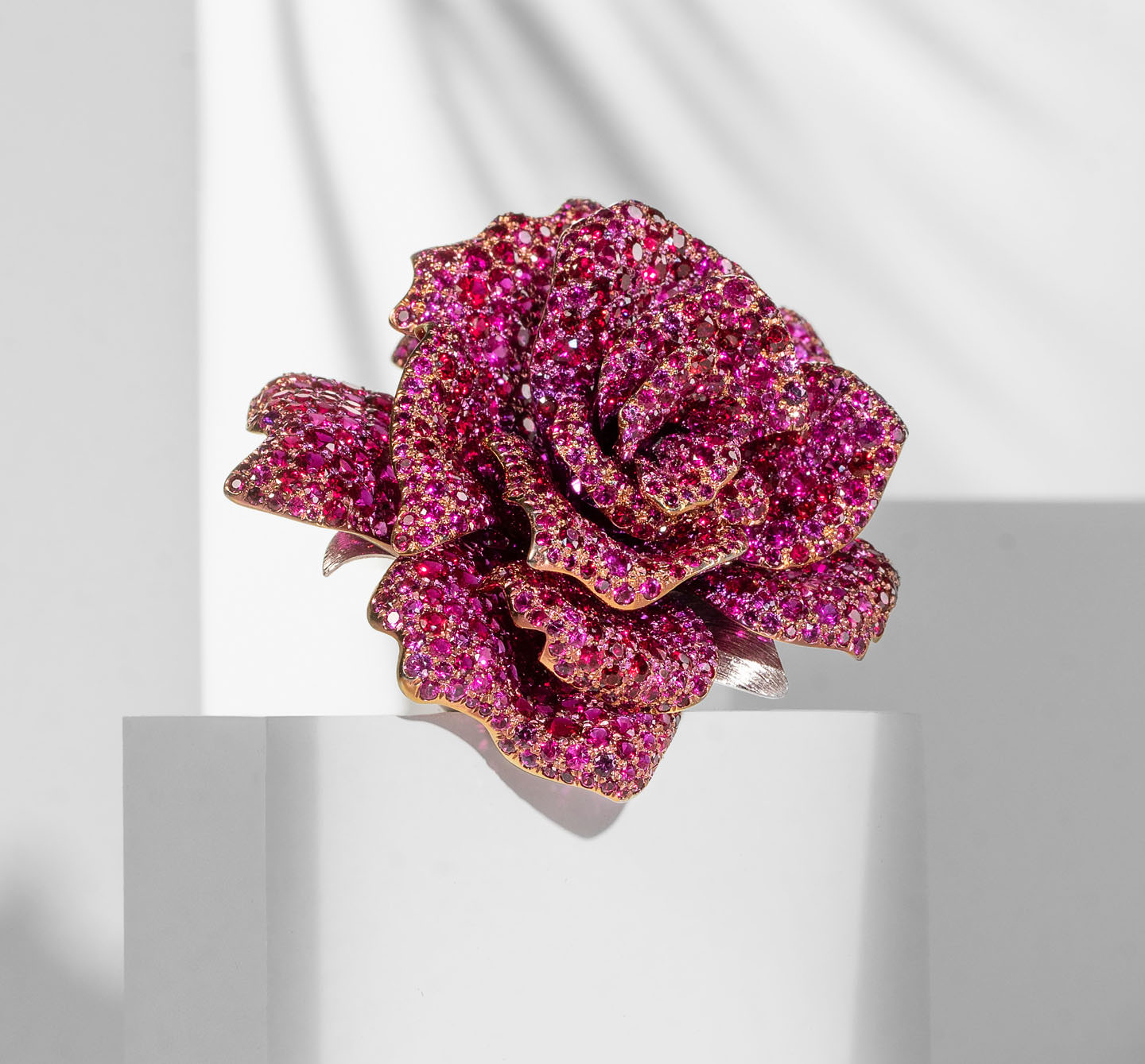 A pink jewel rose.
