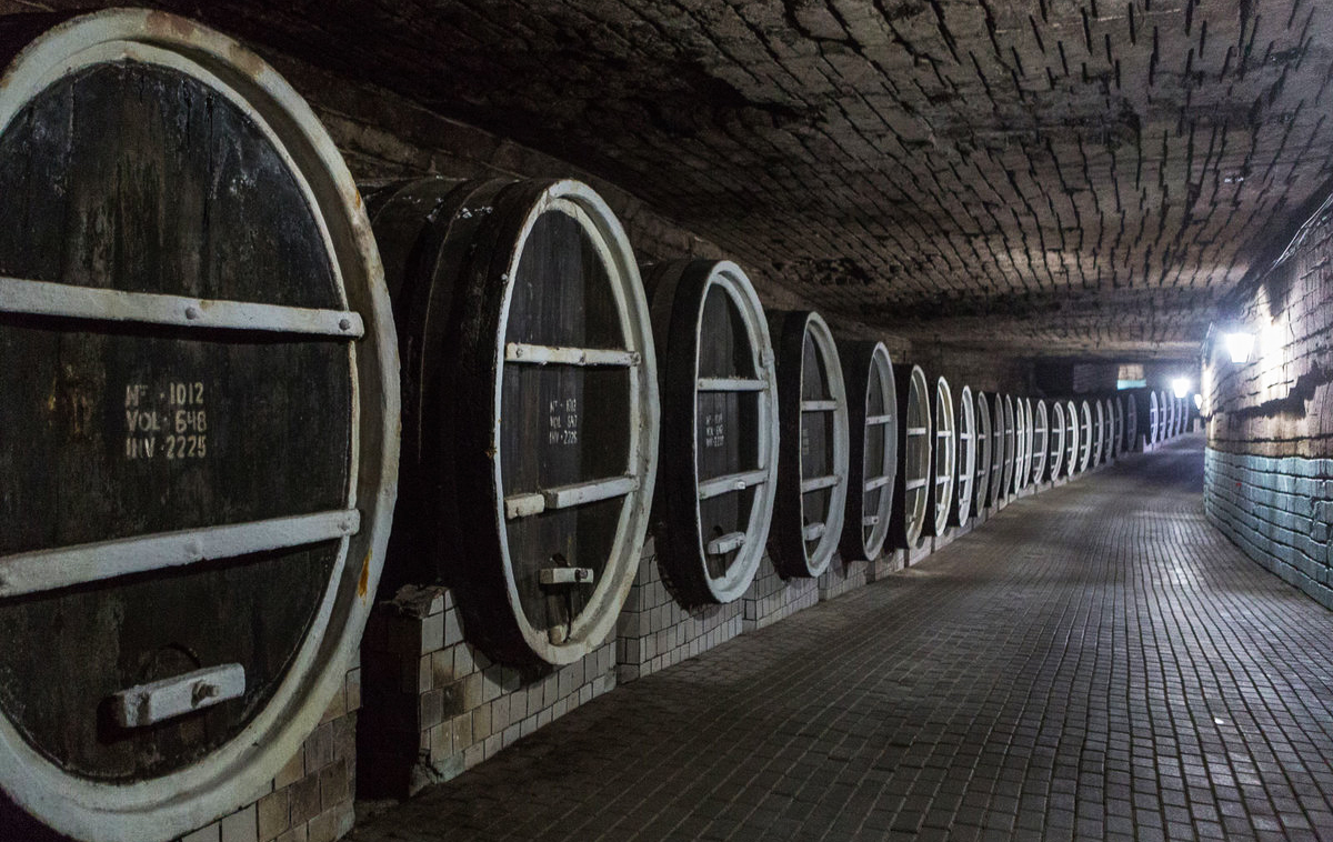 Wine casks in an underground wine cellar.
