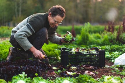 A man kneels among plants at Kingfisher Farm