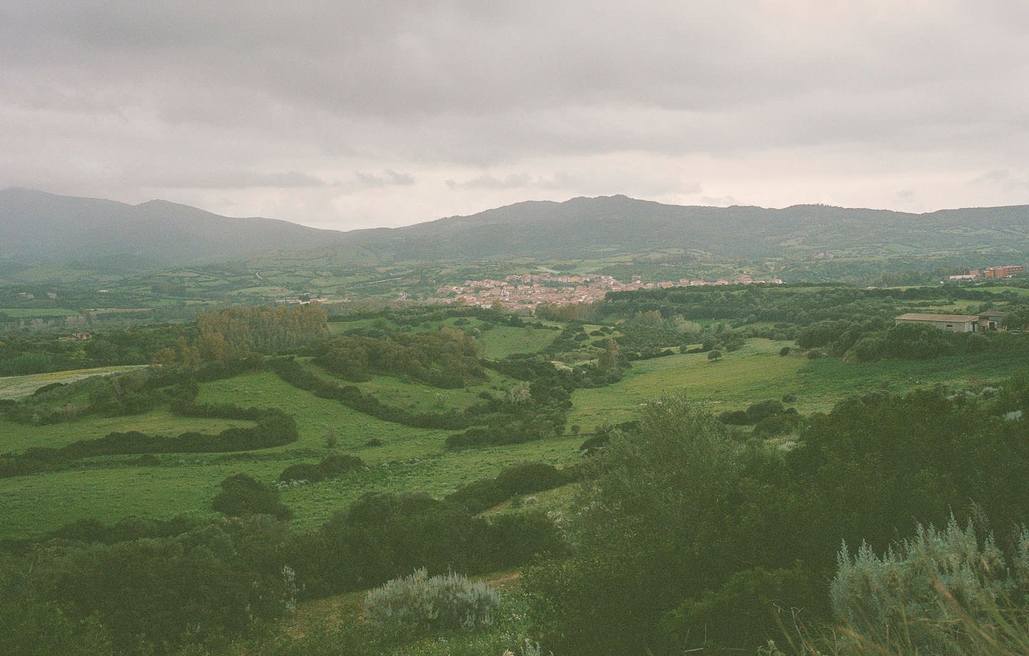 Rolling grassy fields in Sardinia. A village is visible in the distance.