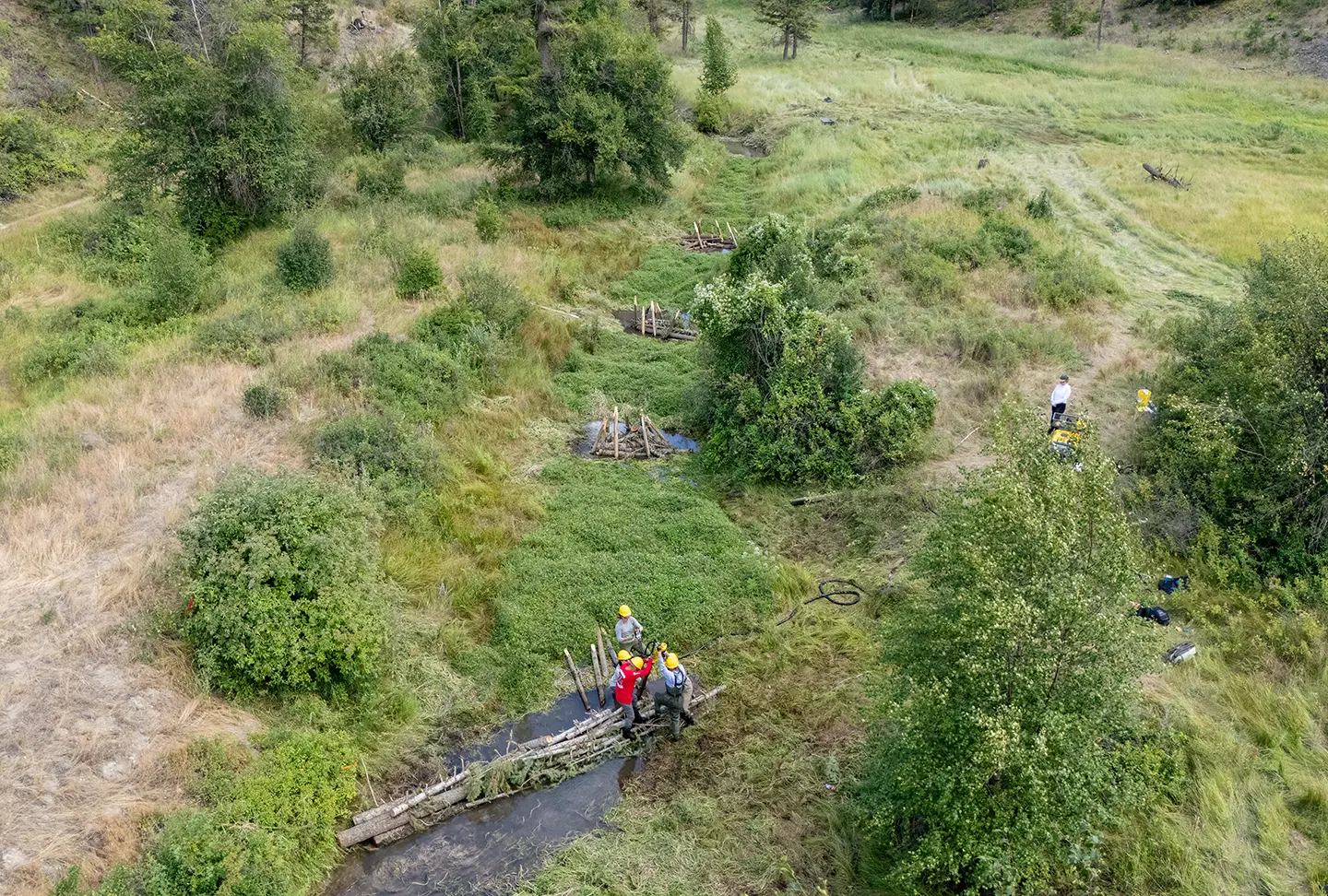 A aerial photo of beaver dam analogs and workers in a marshy field.