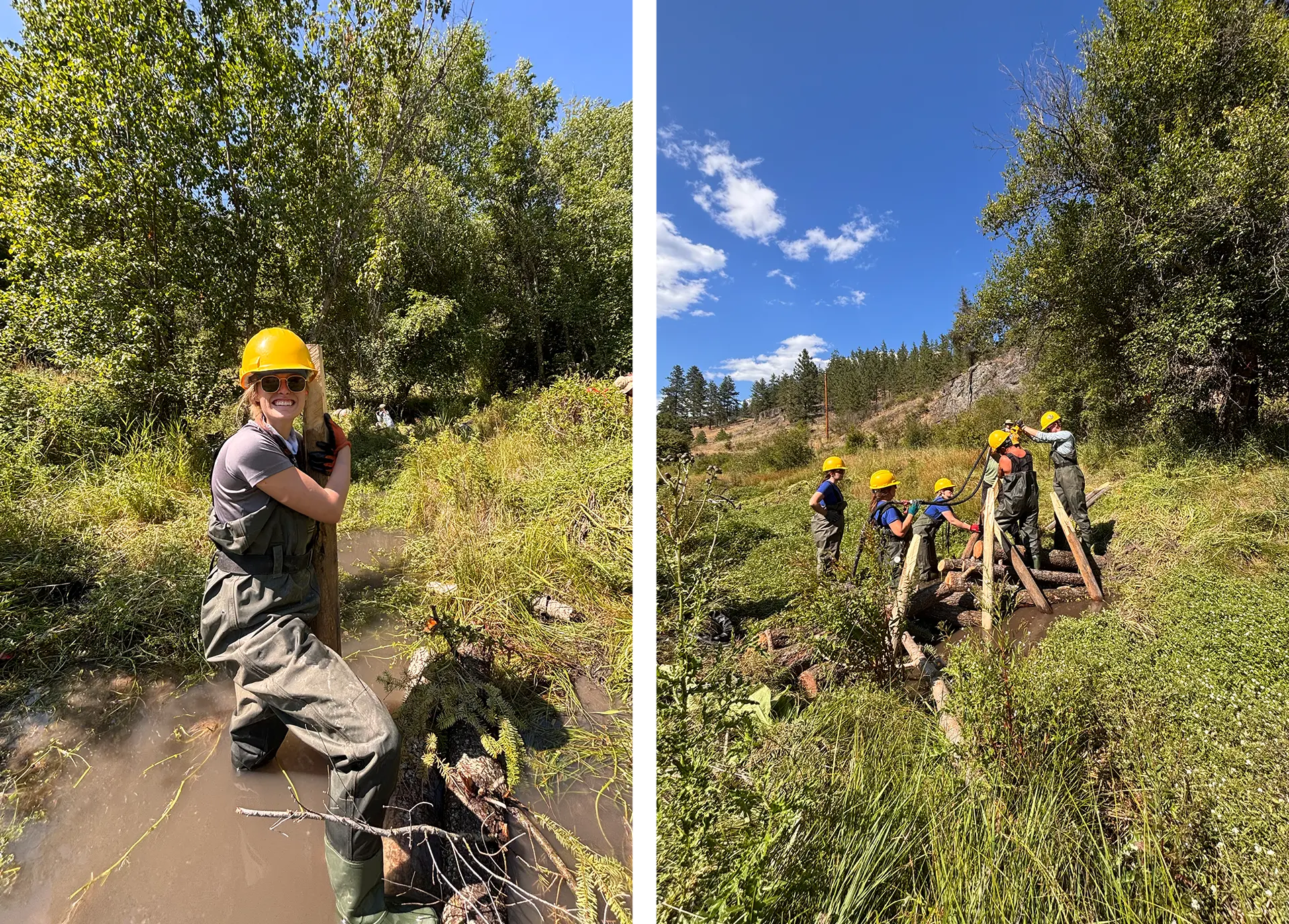 Two photos from the Yves Saint Laurent beaver repopulation project. On the left, a woman in a hard hat holds up a post in some water. On the right, a group of workers assembles a wood structure.