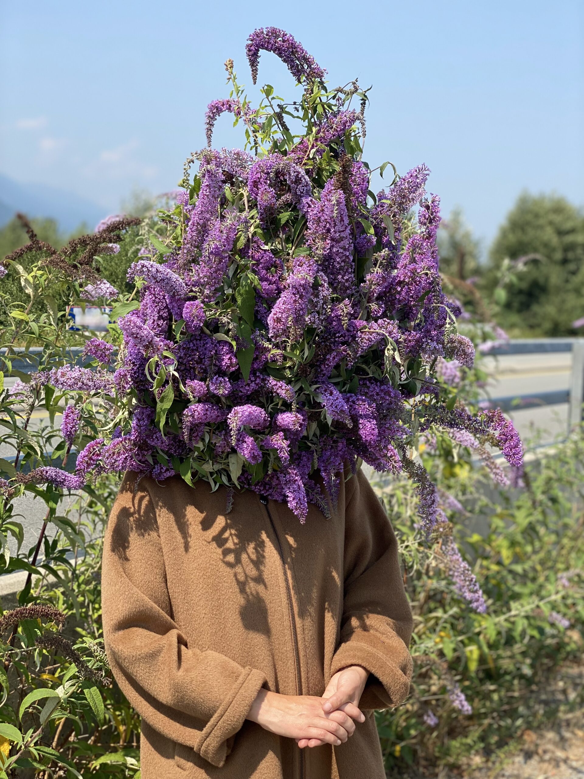 A woman in a tan wool coat with her face covered in lilac flowers.