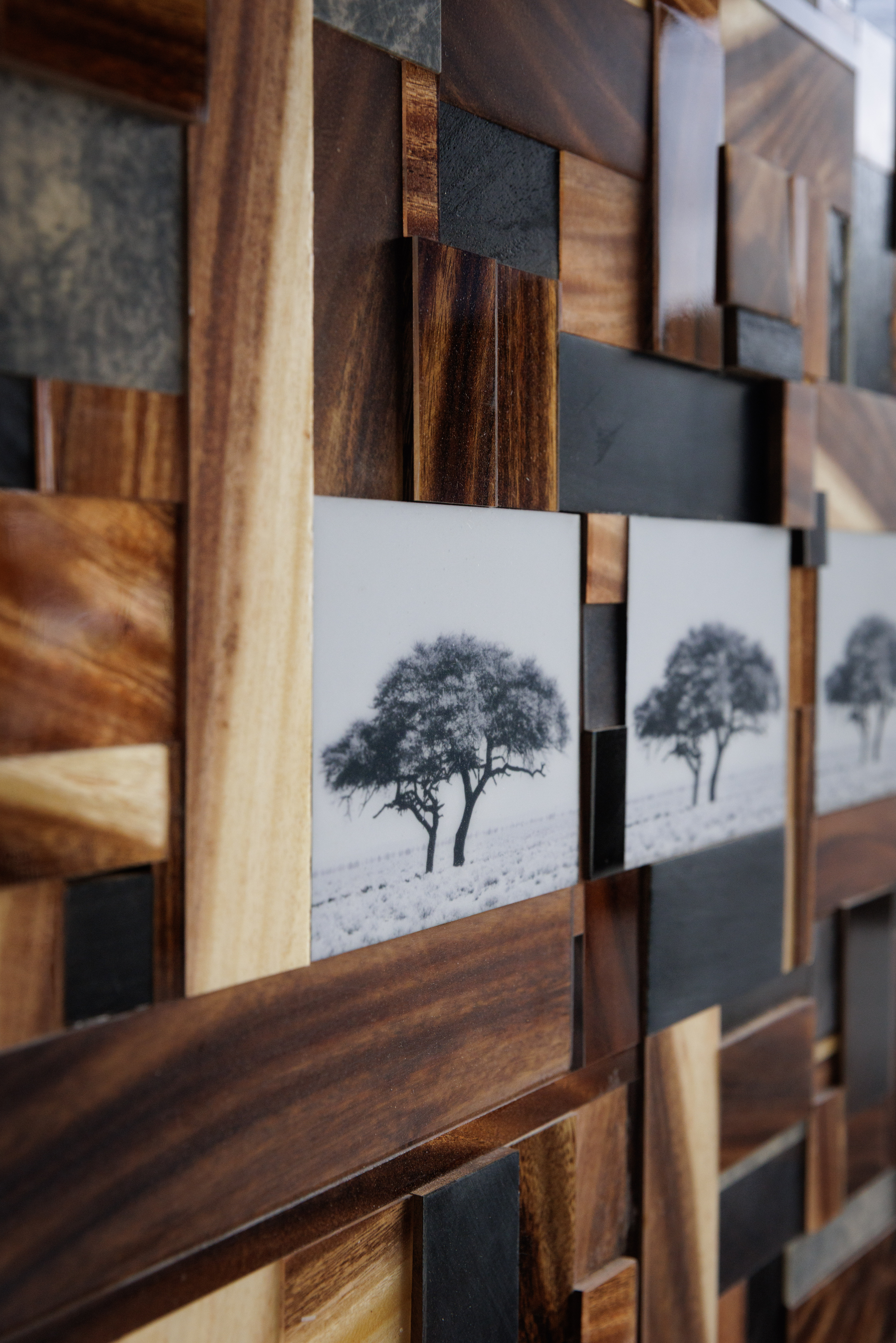 A close up of a wooden canvas with images of trees.