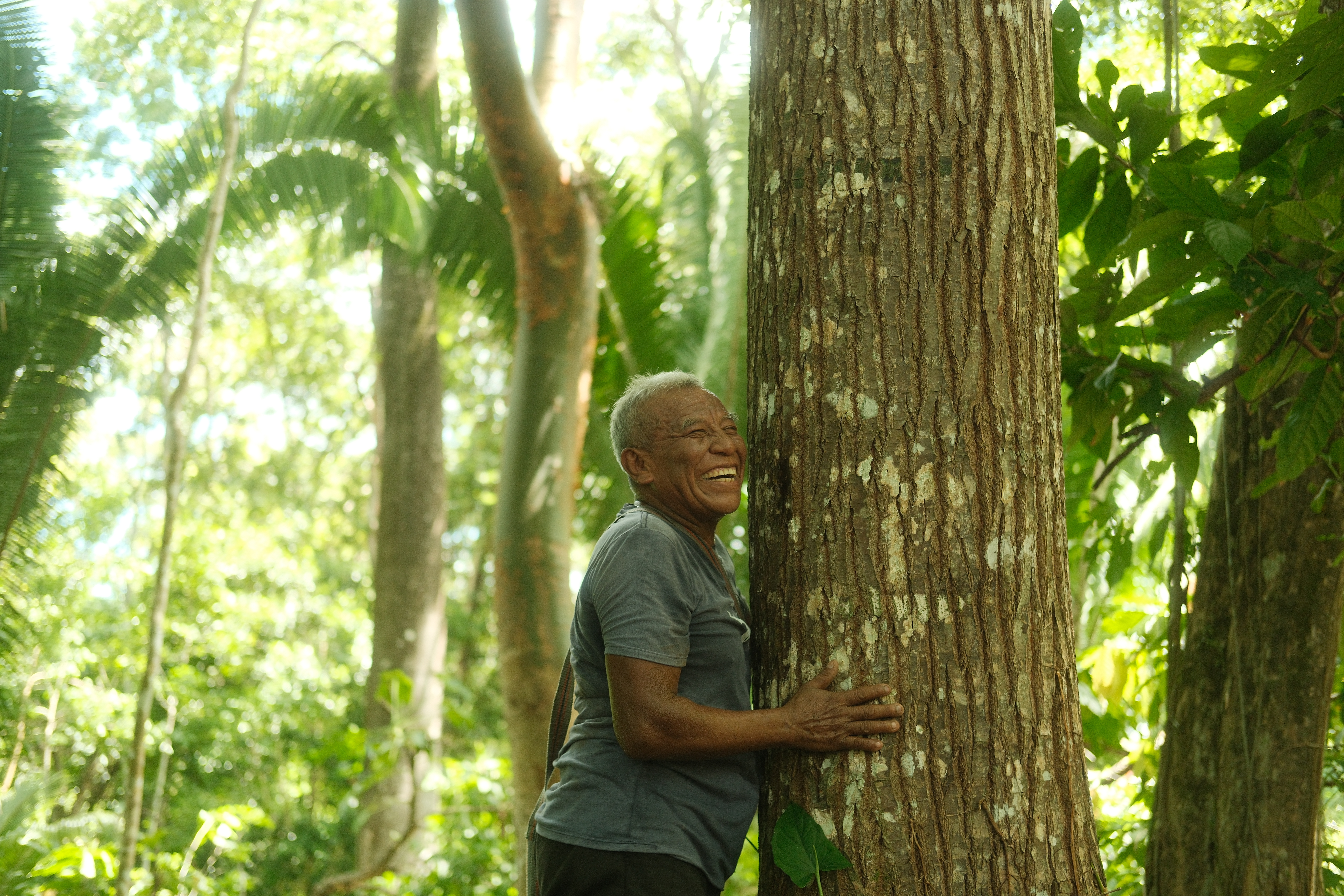A man hugs a cacao tree in Belize.
