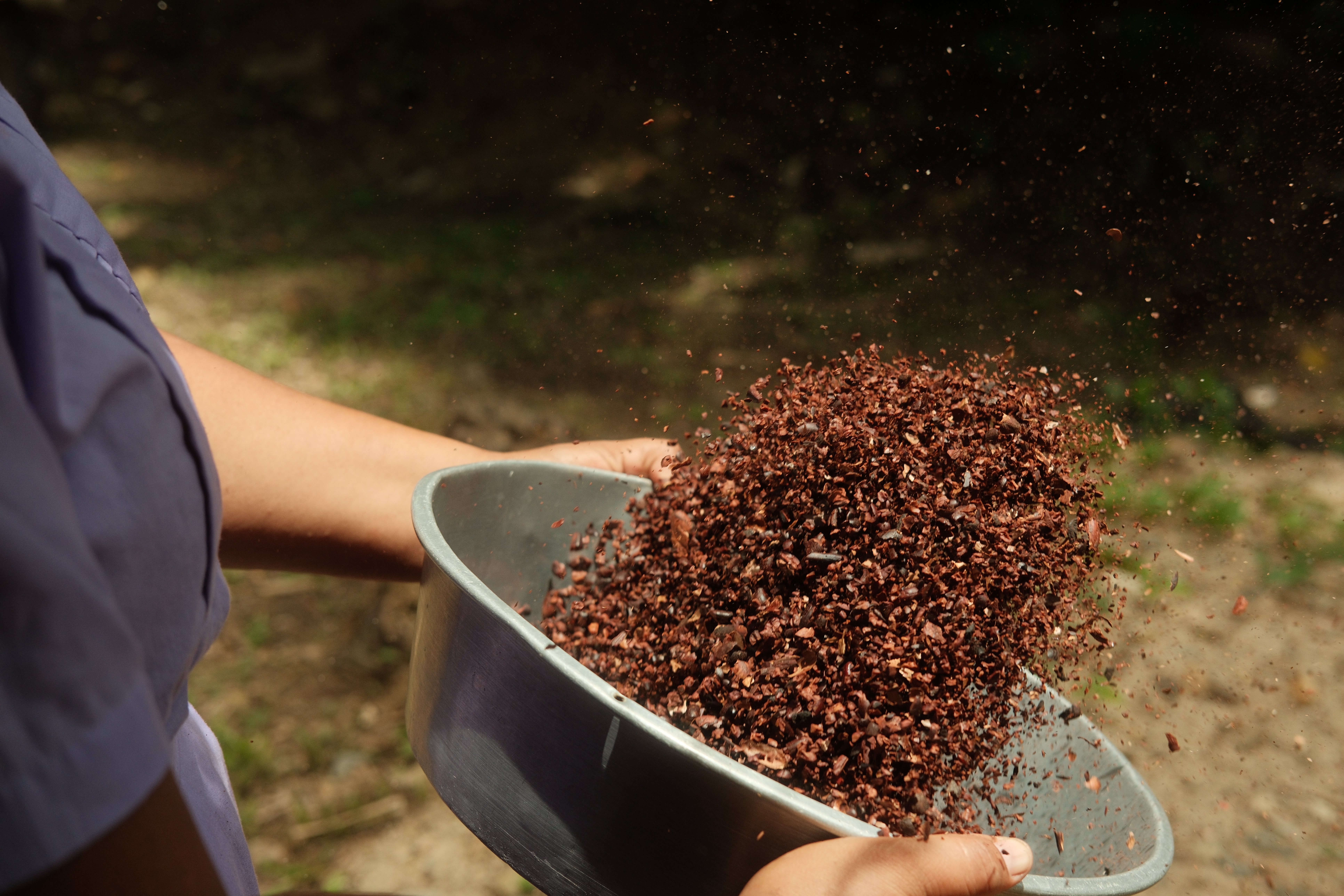 A bowl of cacao beans is tossed in the air.