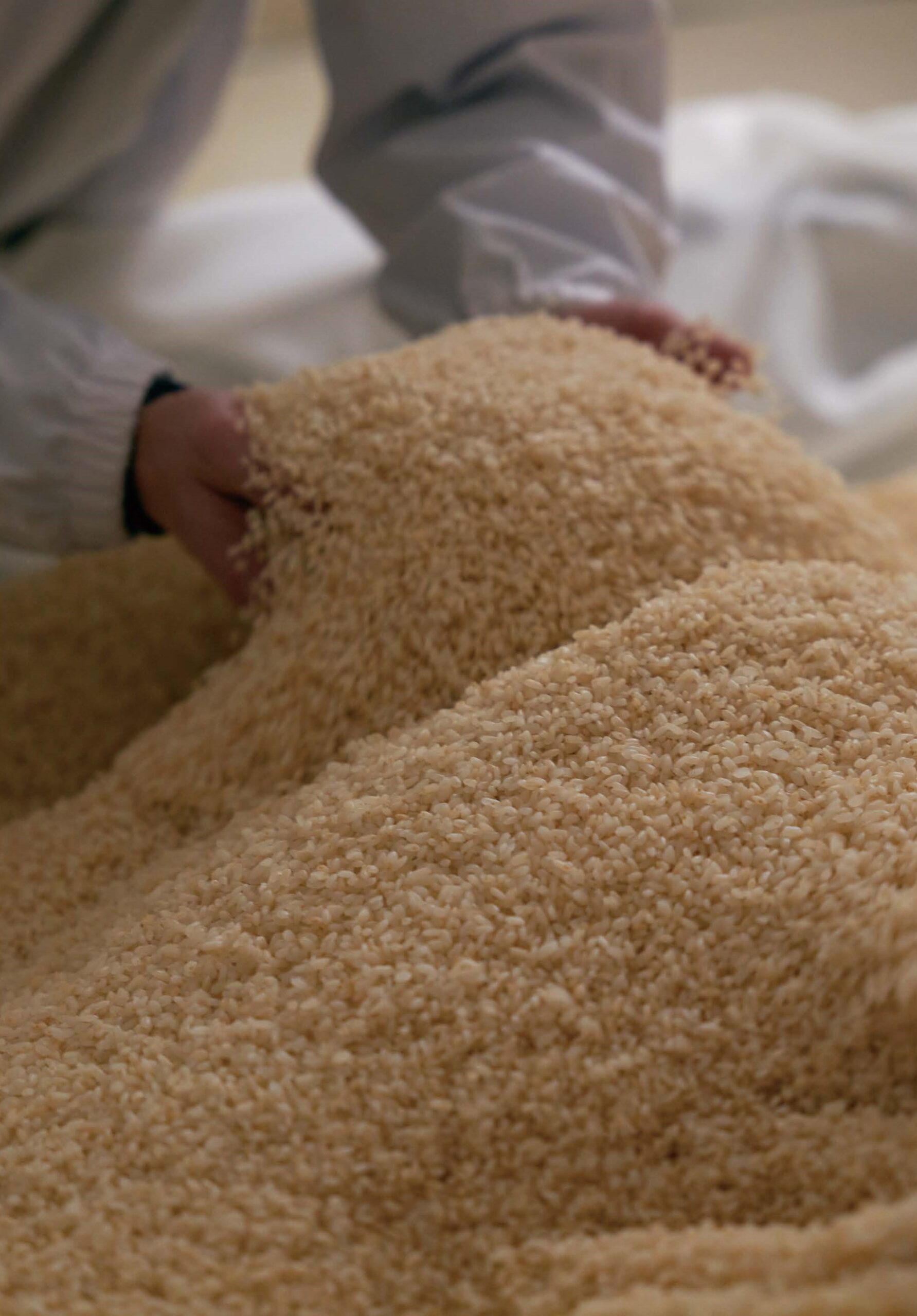 Hands run through white rice.